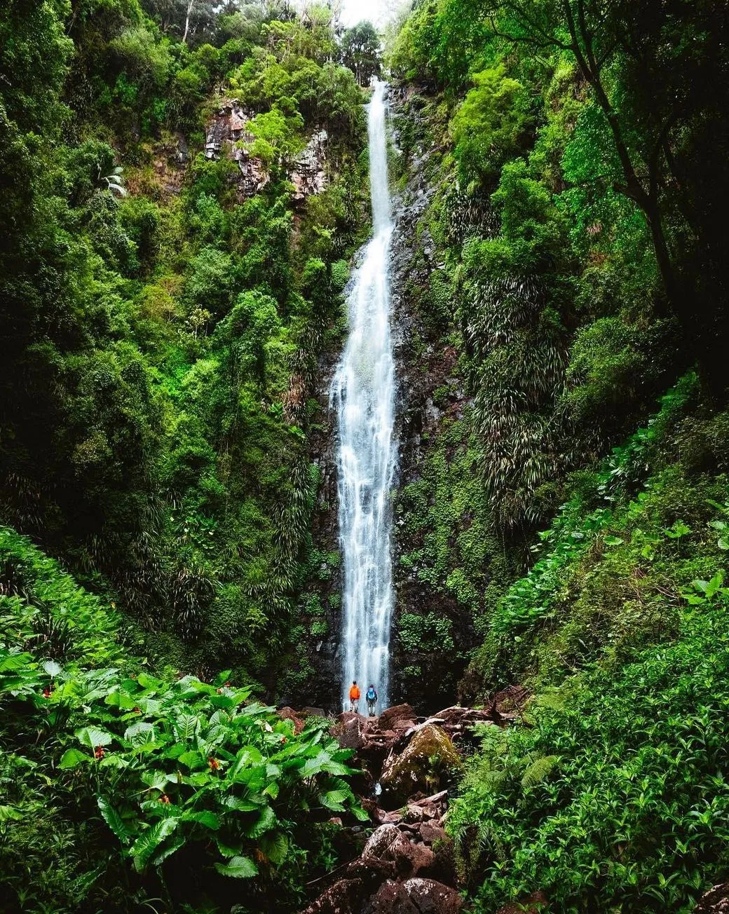 Can You Swim at Falls