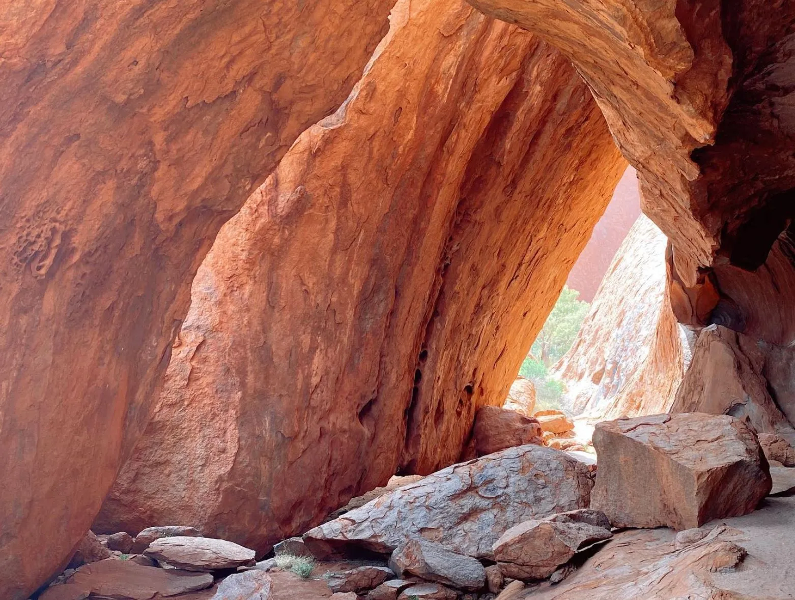 Geological History