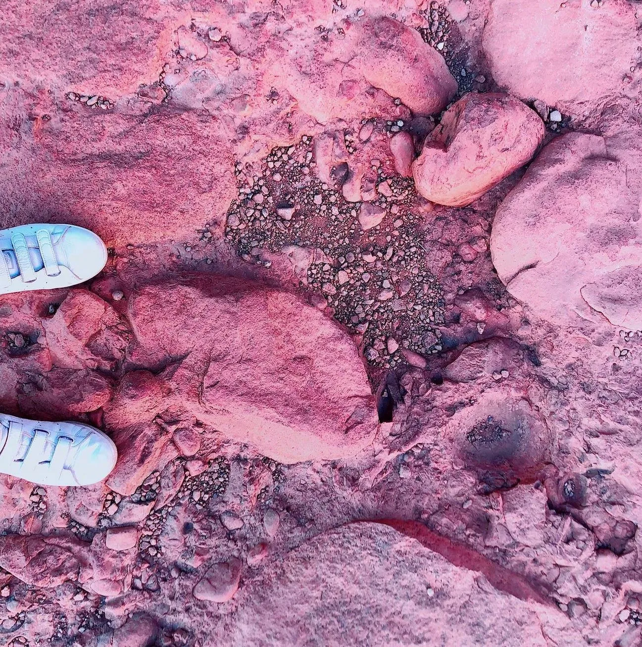 Red Desert Plains