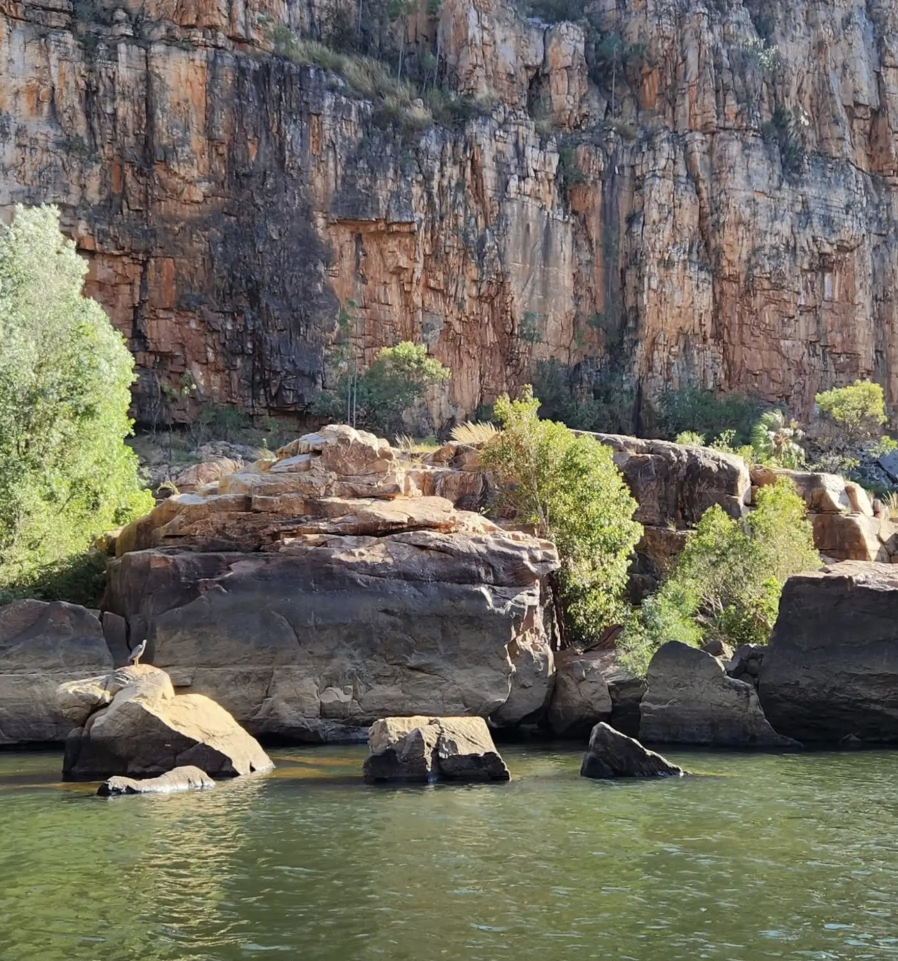 Things to do near Katherine NT