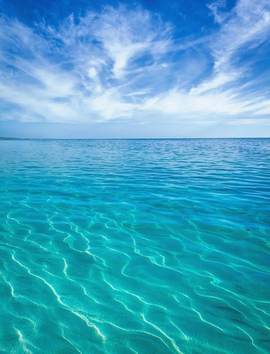 ningaloo campground booking 2026