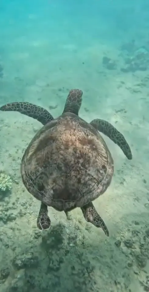 ningaloo campground booking 2026