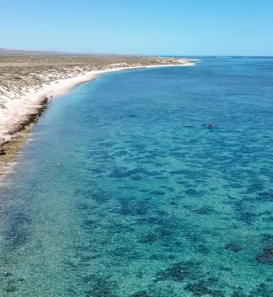 ningaloo coast 2026 campground bookings