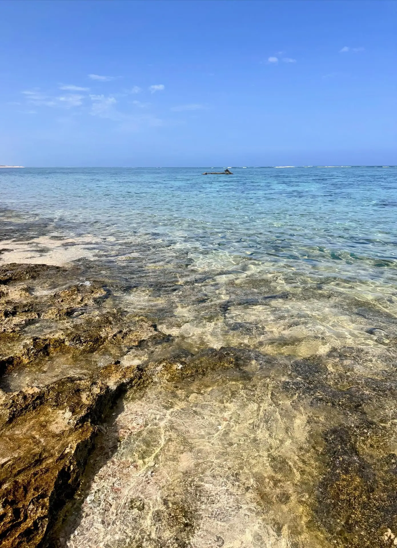 ningaloo coast campground 2026