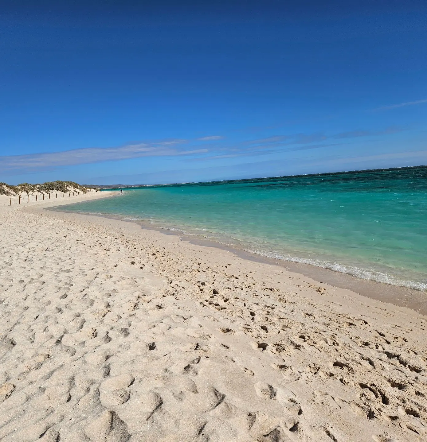 ningaloo coast campground booking