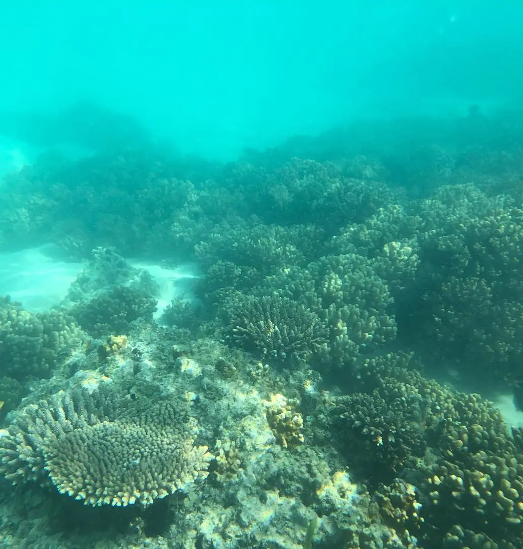 ningaloo coast campground booking tips