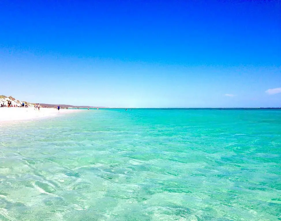 ningaloo coast campground bookings 2026