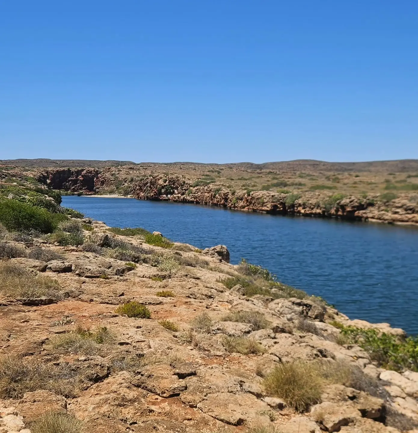 ningaloo coast campground bookings 2026