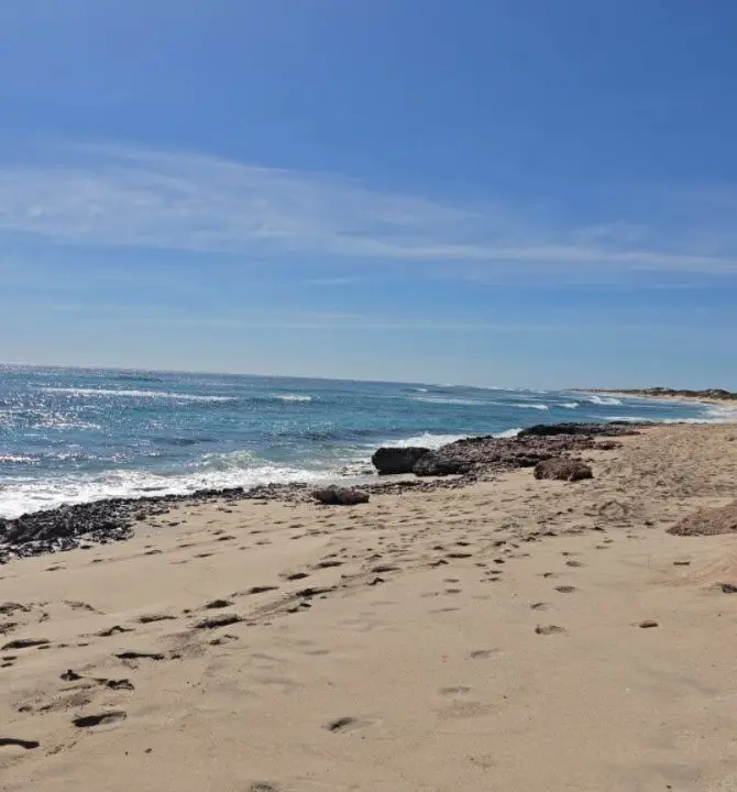 ningaloo coast campground bookings